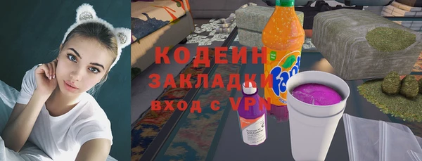mix Инта