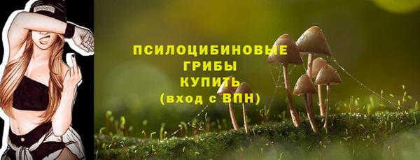 mix Иннополис