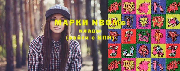 mix Инта