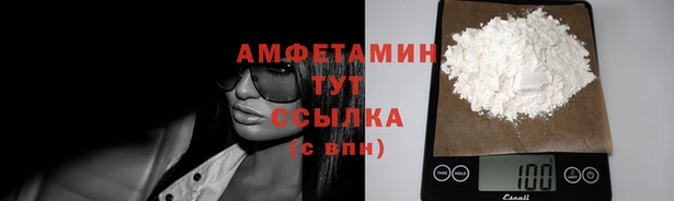 mix Инта