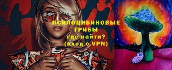 mix Инта